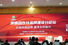 中国供销社电商平台app，中国供销社电商平台App