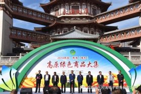 大唐电商直播 - 大唐电商直播怎么样