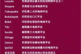 跨境电商有哪些平台可以选择 - 跨境电商有哪些平台可以选择发货地