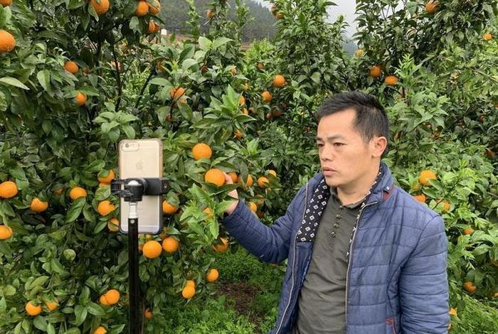 九牛电商在哪直播 - 九牛电商在哪直播赚钱