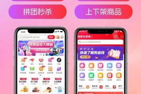 分销电商小程序系统 小程序分销系统开发