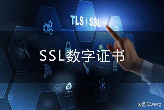 电子商务中scm是什么意思 - 电子商务中ssl是什么意思 电子商务中scm是什么意思 - 电子商务中ssl是什么意思