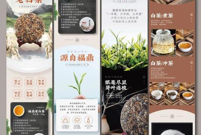 茶叶电商运营方案,茶叶电商运营方案怎么写 茶叶电商运营方案,茶叶电商运营方案怎么写