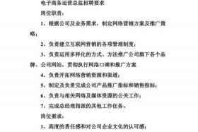 电商运营总监岗位职责，电商运营总监岗位职责内容
