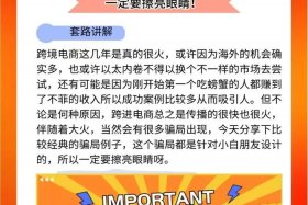 跨境电商教程骗局案例 谈谈你所知道的跨境电商领域都有哪些骗局