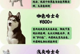 哈士奇电商插件费用大概多少钱，哈士奇电商插件费用大概多少钱啊