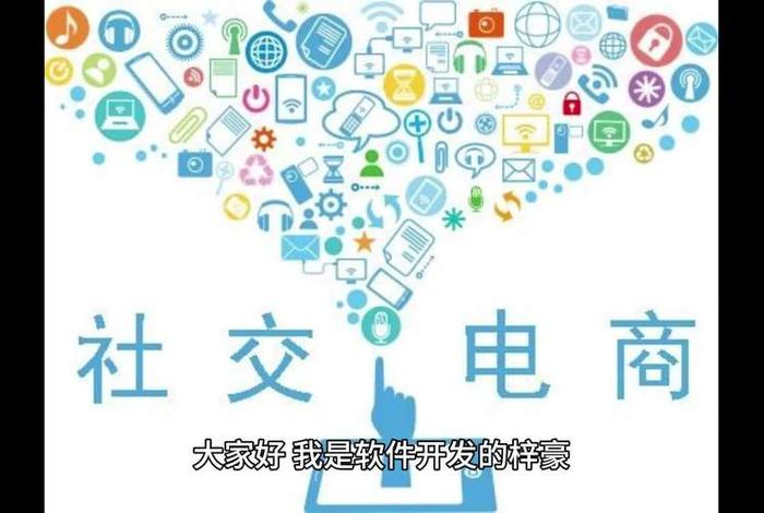 电商有哪些、社交电商有哪些