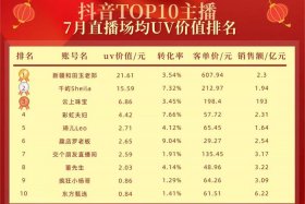 电商uv价值是什么 - 电商uv价值是什么意思