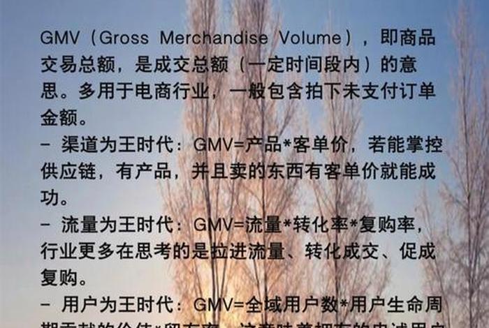 电商gmv有哪三个指标,电商gmv指什么 电商gmv有哪三个指标,电商gmv指什么