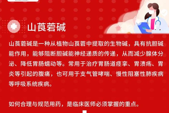 山莨菪碱电商运营团队 - 山莨菪碱商品名 山莨菪碱电商运营团队 - 山莨菪碱商品名