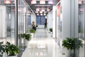 非羽网络科技股份有限公司，安徽非羽网络科技股份有限公司