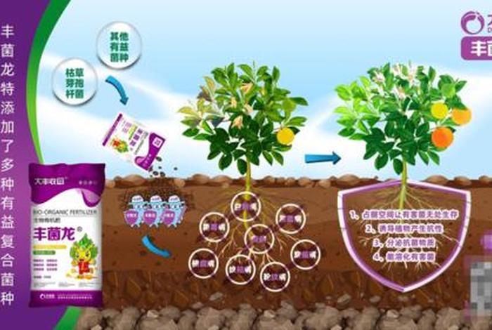 大丰收农服平台 大丰收农服平台正规吗 大丰收农服平台 大丰收农服平台正规吗