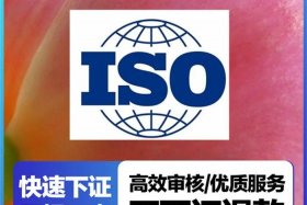佛山电商企业iso认证咨询 佛山电商企业iso认证咨询电话