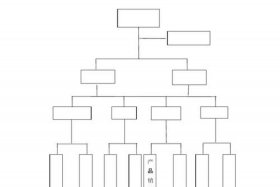 小型电商公司组织架构；小型电商公司组织架构图片