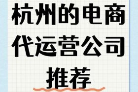 杭州电商代运营，杭州电商代运营公司有哪些