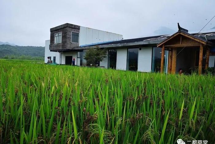 六谷电商平台官网;六谷电商平台官网首页 六谷电商平台官网;六谷电商平台官网首页