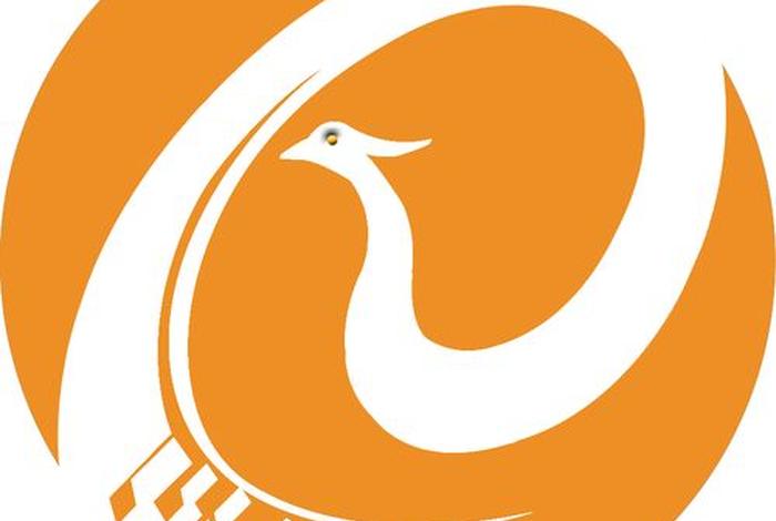 凤凰电商查询 - 凤凰商城订单号查询 凤凰电商查询 - 凤凰商城订单号查询