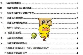 如何做好电商公司（如何做好电商公司的财务工作）