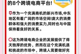 做中东跨境电商哪个平台好；做中东跨境电商哪个平台好一点