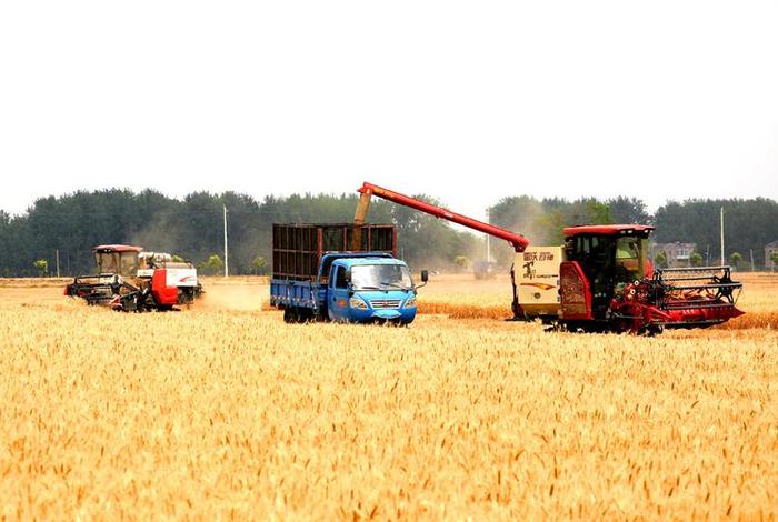 大丰收农机店;大丰收农机专业合作社 大丰收农机店;大丰收农机专业合作社