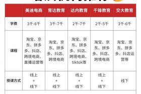 十大电商培训（十大电商培训品牌）