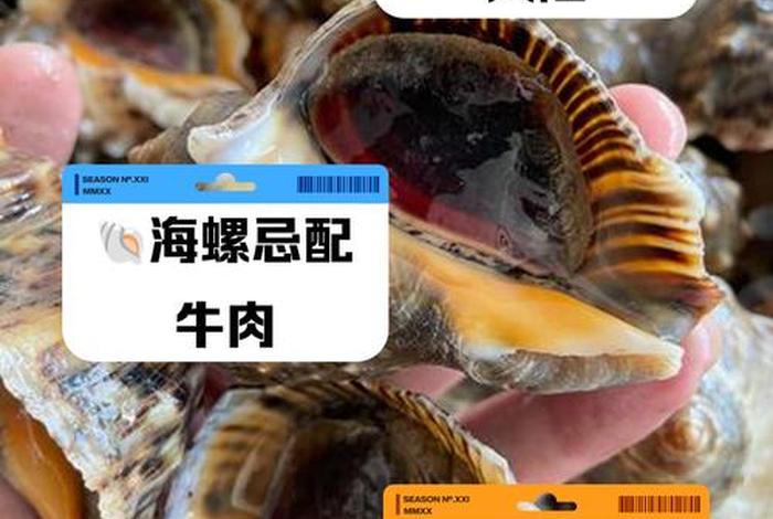 海螺电商平台系统 海螺电商平台进不去怎么办