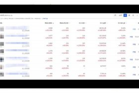 齐论电商官网登录入口，齐论电商vip有效果吗
