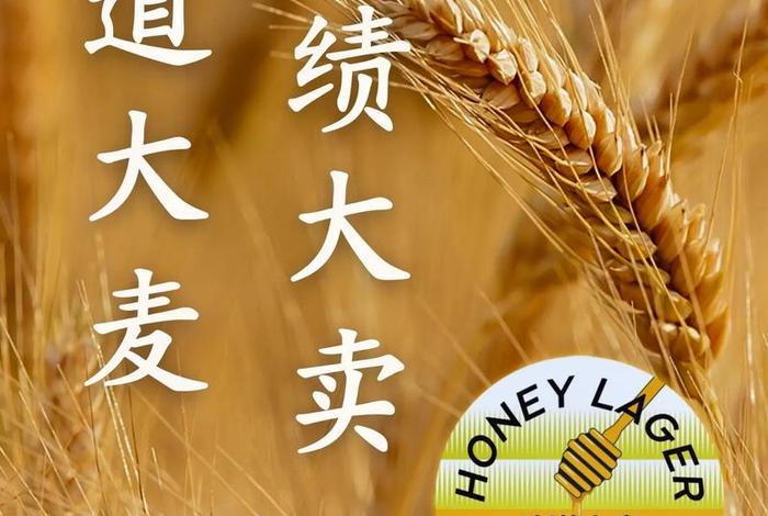 大麦电商是什么 大麦电商是什么企业 大麦电商是什么 大麦电商是什么企业