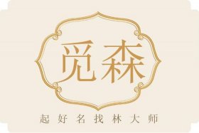 电商公司名字带森 电商公司名字带森字