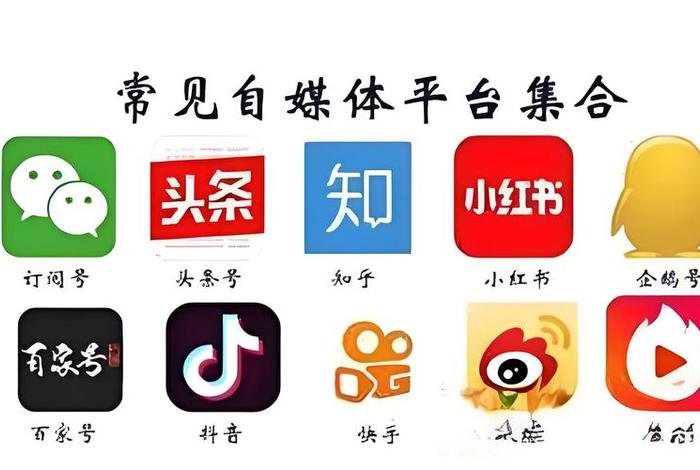 自媒体电商是什么，自媒体电商是什么意思