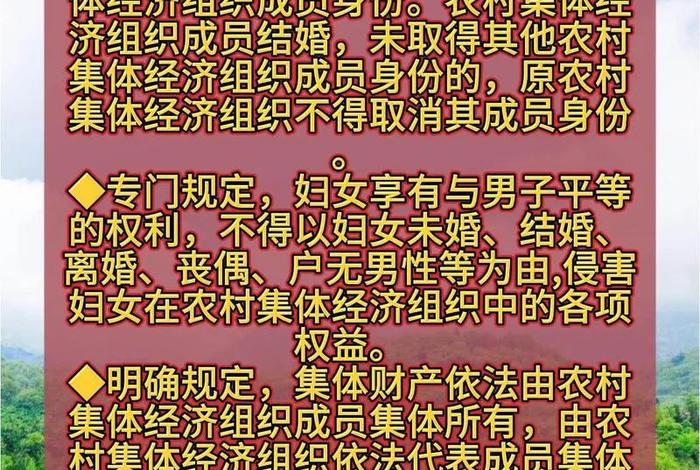 什么叫农村集体经济组织 什么叫农村集体经济组织和村委员会 什么叫农村集体经济组织 什么叫农村集体经济组织和村委员会