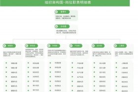 电商部门管理制度及岗位职责；电商部门组织架构及职责