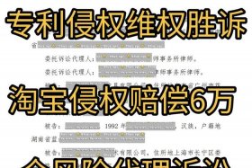 电商交易平台侵权案件 电商平台侵权责任