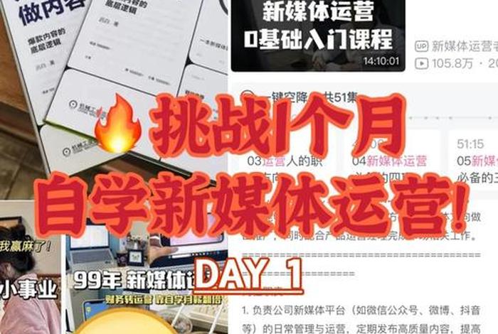 新媒体电商新手入门（新媒体电商新手入门知识）