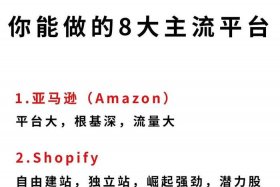 搞电商最好的平台（搞电商最好的平台是哪个）