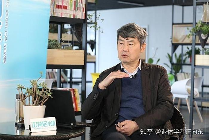 沙集电商小镇，沙集电商小镇老板是谁