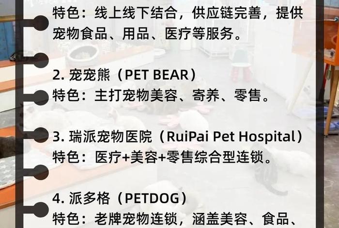 宠物用品电商加盟 - 宠物用品电商加盟费多少 宠物用品电商加盟 - 宠物用品电商加盟费多少