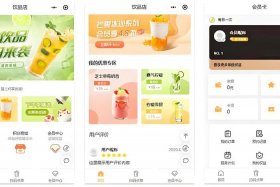 社区电商app 社区电商app开发公司