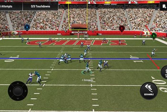 卖登橄榄球、橄榄球专卖店 卖登橄榄球、橄榄球专卖店