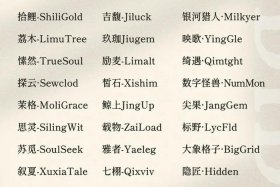 电商公司取名字参考大全，电商公司取名字参考大全有土有金