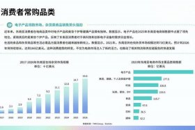 东南亚电商市场规模概况，东南亚电商市场规模概况图