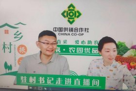 中国供销社电商平台文字软装 中国供销合作社电商平台