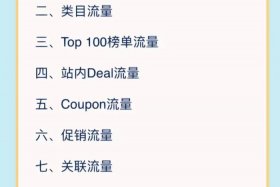 亚马逊电商平台买家入口（亚马逊电商平台买家入口是什么）