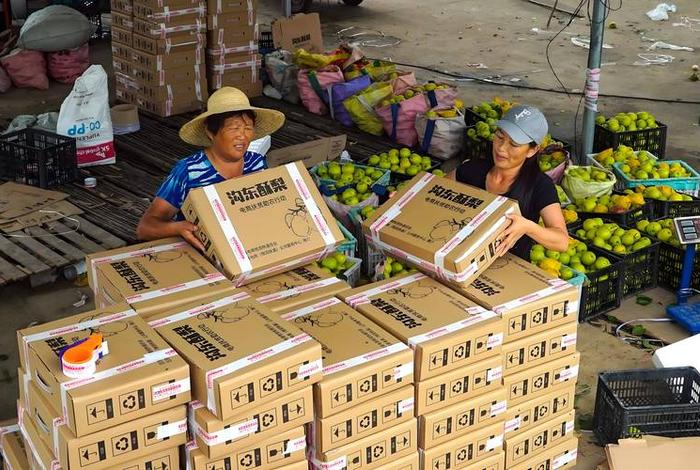 农产品电商入口 - 农产品电商渠道