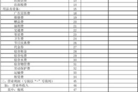 电商利润表模板（电商利润表模板图片）