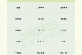 跨境电商公共服务平台年度计划；跨境电商公共服务平台年度计划怎么写