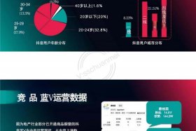 房产电商运营、房地产电商运营模式