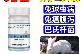 百毒杀消毒液 - 百毒杀消毒液多少钱一瓶