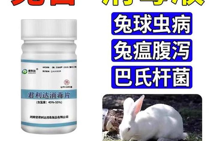 百毒杀消毒液 - 百毒杀消毒液多少钱一瓶 百毒杀消毒液 - 百毒杀消毒液多少钱一瓶