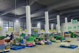 生鲜电商配送箱；生鲜电商配送箱图片